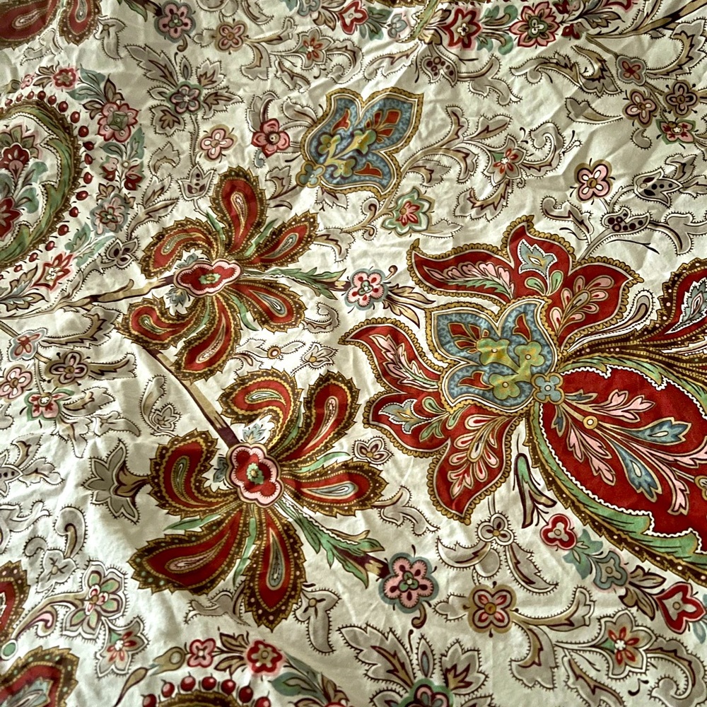 Pottery Barn Charlie Paisley King Duvet Cover and 2 Euro Shams